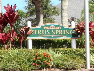 HOA board members have altercation doing Citrus Springs Christmas party.
