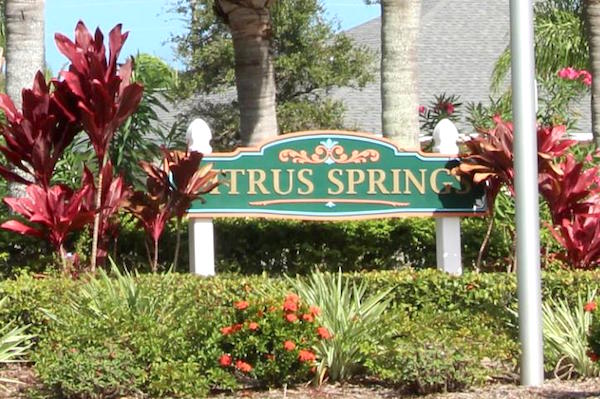 HOA board members have altercation doing Citrus Springs Christmas party.