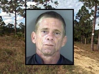 A man in Fellsmere was arrested on charges of domestic violence.