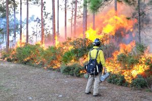 High risk of wildfires in Indian River County this weekend from Sebastian to Vero Beach.