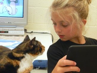 Tonilynn Napo, of Vero Beach, chats with a cat during the Humane Society's animal photography class. The shelter offers several exciting summer programs for children including dog care, an introduction to veterinary medicine for kids, cat care, pet first aid and more.