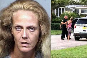 Woman breaks into a Barefoot Bay home and strikes victims while at the residence in Micco.