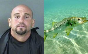 A man tried to avoid an arrest in Sebastian by bringing back to life a Snook during its off-season.