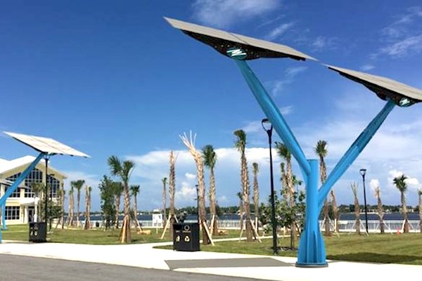 Solar trees and canopies could provide power to certain areas of Sebastian.