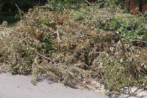 Indian River County guidelines for preparing vegetative storm debris for pick-up.
