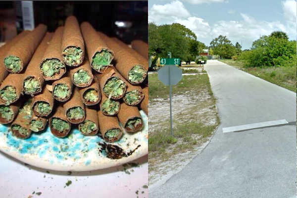 Man calls Indian River County Sheriff's Office to report stolen blunts.