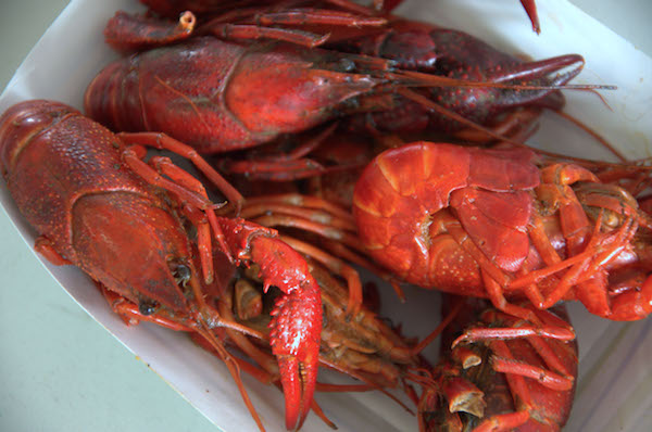 Plenty of food at the Grant Seafood Festival.