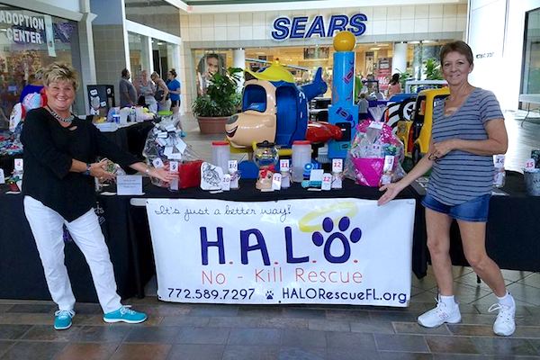 HALO's "Artisans at the Mall" food drive.