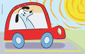 PETA is issuing an urgent warning about the importance of never leaving animals in hot cars.