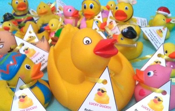 HALO's monthly "ARTISANS AT THE MALL" Arts & Crafts Event presents Find a Lucky Duck at the Indian River Mall.