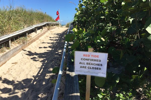 Red Tide at Indian River County beaches.