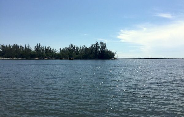 Red Tide tested positive in two small areas of the Indian River Lagoon.