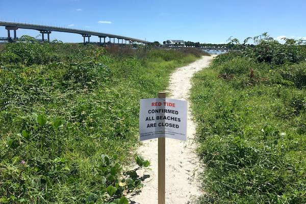 Sebastian Inlet State Park confirms Red Tide.