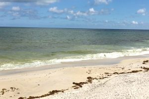 Red Tide may be moving closer to Sebastian, Florida.