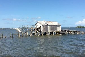 Looking for things to do in Sebastian this weekend? Look no further!