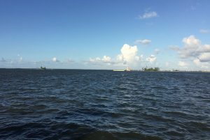 Things to do this weekend in Sebastian, Florida.