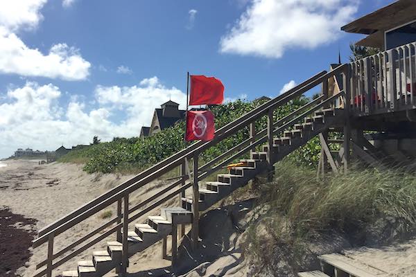 Wabasso Beach closed due to Red Tide.