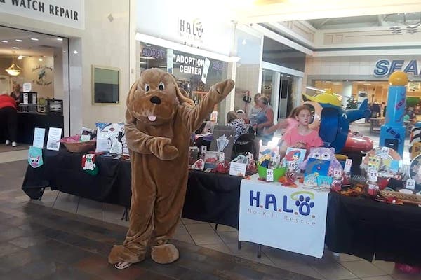 HALO's Artisans at the Mall Arts & Crafts Event in Vero Beach, Florida.