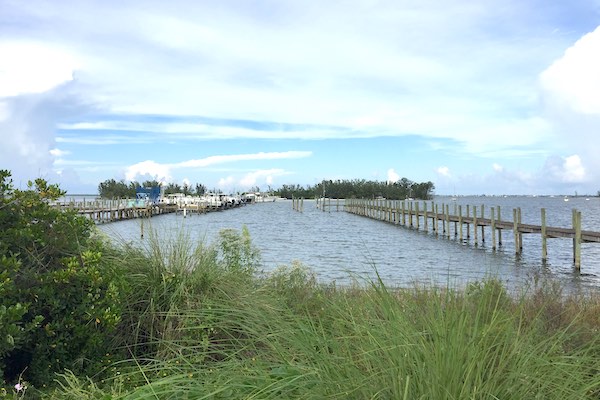 A body of a man was found in the river near Squid Lips in Sebastian, Florida.