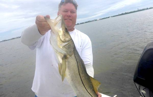 Pictured here is Jason Ogilvie with a snook in Sebastian, Florida.