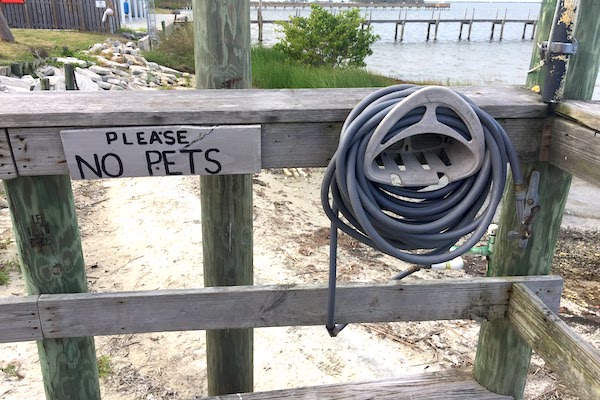 No pets at Tiki Bar & Grill in Sebastian.