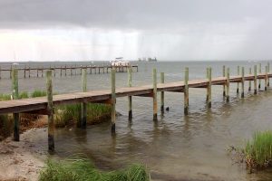 We got some rain this week in Sebastian with cooler temperatures on the way.