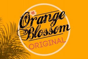 Orange Blossom Original Concert in the Park in Grant-Valkaria, Florida.