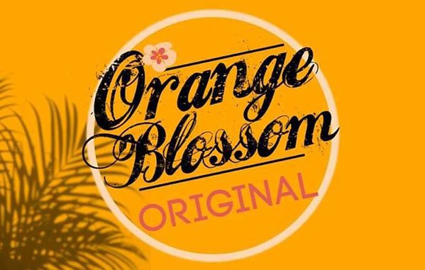 Orange Blossom Original Concert in the Park in Grant-Valkaria, Florida.