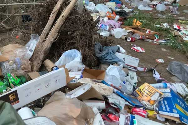 Trash everywhere in the woods near the railroad tracks.