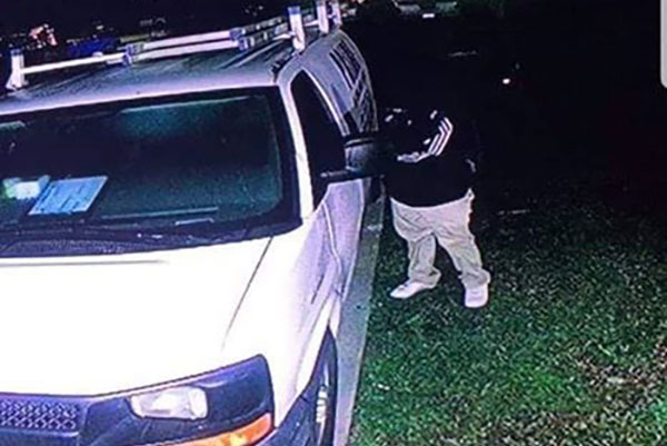 Car thieves captured on video surveillance in Vero Lake Estates.