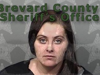 Amanda Marie Herron arrested in Grant-Valkaria, Florida.