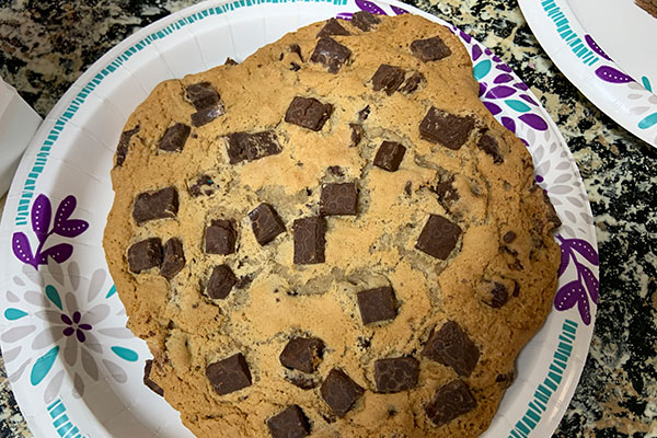 Chocolate chip cookie was stale and hard as a rock.