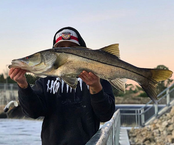 Pete Vickonoff caught a nice snook.