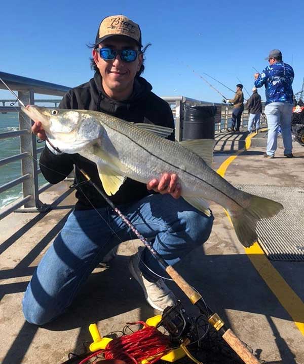 Leo Mizrahi with a snook at the Sebastian Inlet Jetty.