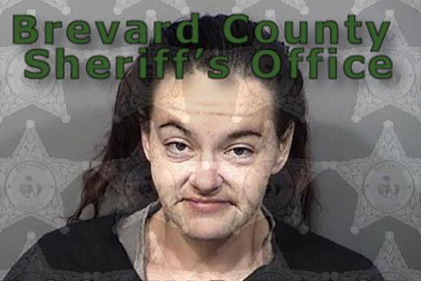 Danielle Dawn Cambra was arrested in Micco, Florida.