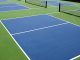 Sebastian Pickleball Complex will have its grand opening on Thursday, March 5th.