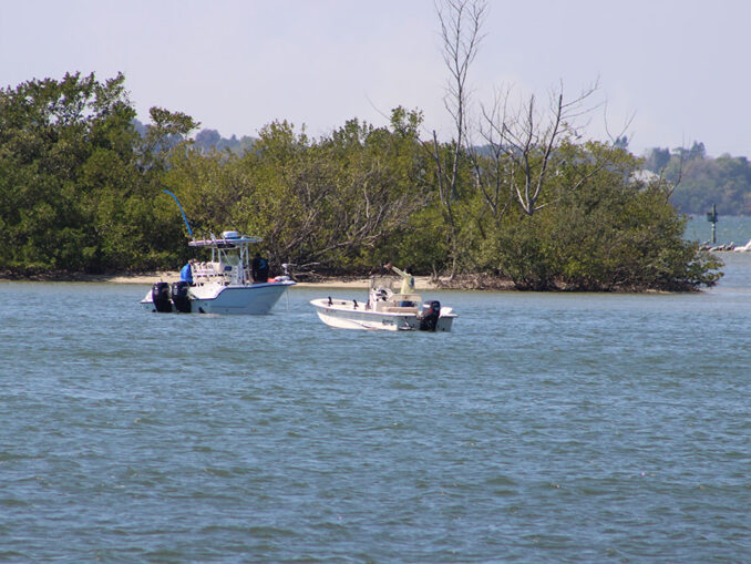 Sebastian Inlet Fishing Report, Surfing Sebastian Daily