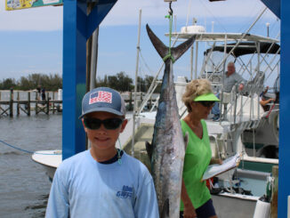 Fishing Tournament in Sebastian, Florida
