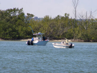 FWC removes several boaters under the influence of alcohol or drugs.