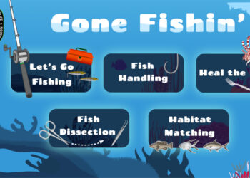 FWC partners with Pubbly for Gone Fishin' interactive games.