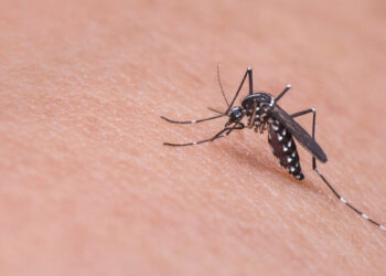 Indian River Mosquito Control District