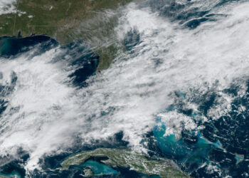 Weather in Sebastian, Florida