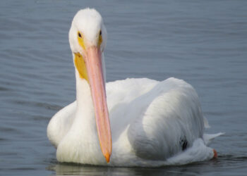 Weather in Sebastian, Florida