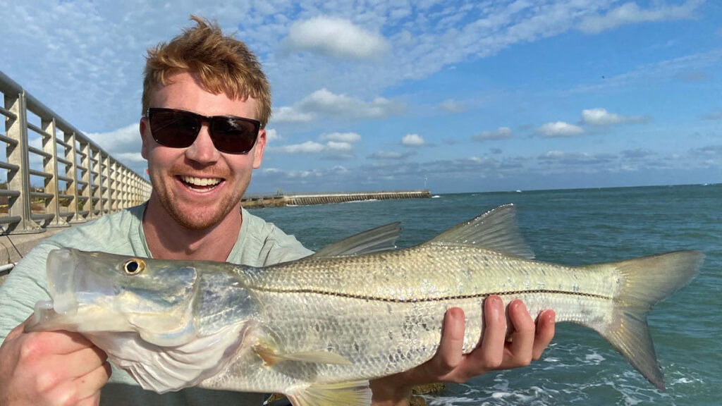 Florida's Snook Fish: Best Bait & Eating Overview – Sebastian Daily
