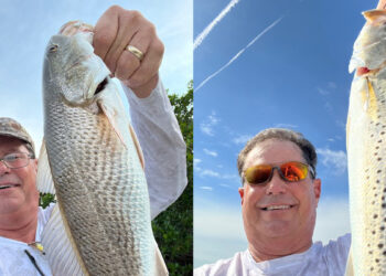 Mark Martin is catching some decent fish around the Sebastian Inlet