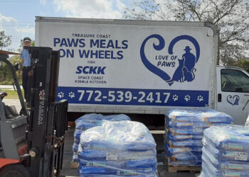 For The Love of Paws