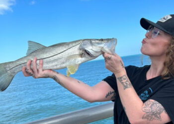 Babz Stewart with snook on North Jetty