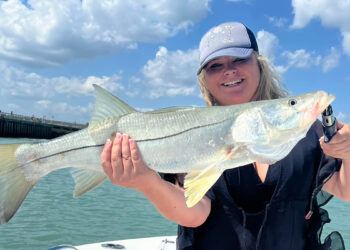 Scarlett Chesser of Sebastian