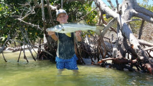 Snook Workshop (FWC)