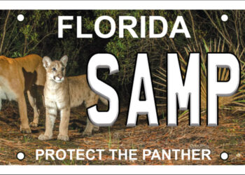 Protect the Panther Florida license plate.